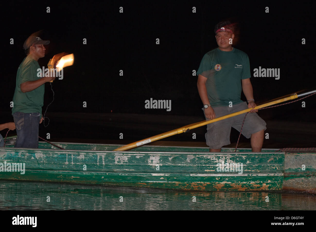 Guide and researcher on a boat out lamping for Caiman with spotlight with the intention of catching individuals data collection. Stock Photo