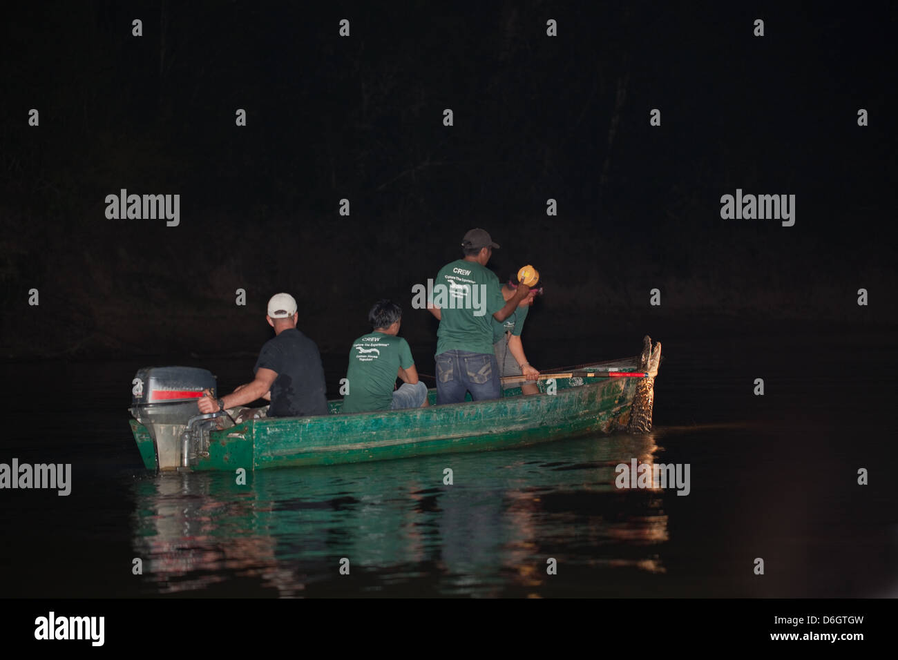 Guide and researchers in a boat out lamping for Caiman with spotlight with the intention of catching individuals data collection Stock Photo