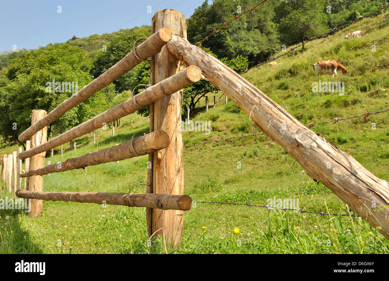 Fence of wooden poles hi-res stock photography and images - Alamy
