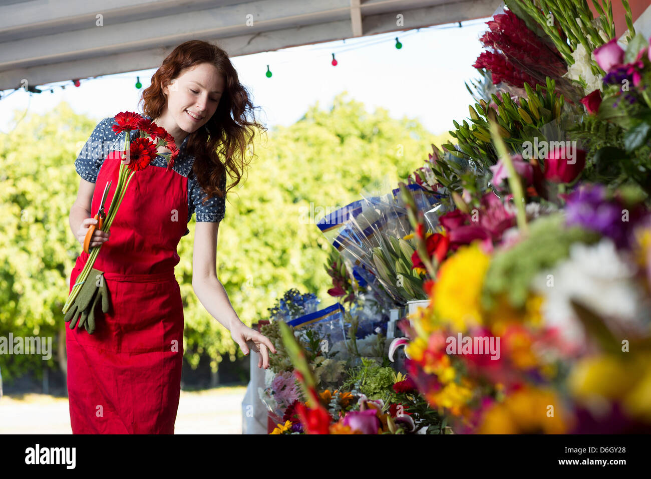 Florist working in shop Stock Photo