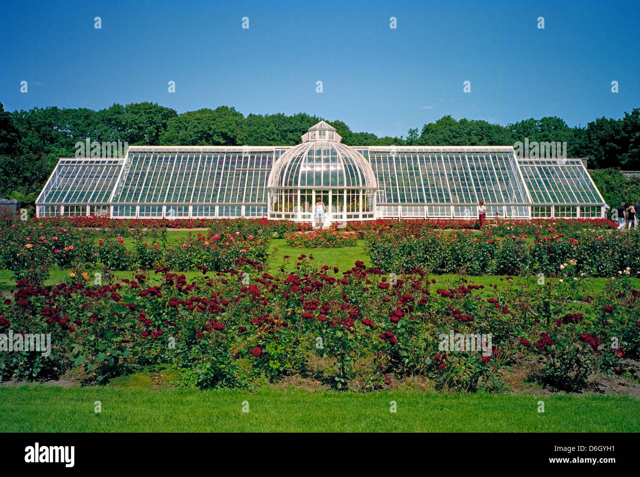 The restored Victorian glasshouse in the gardens of the stately home of Ardgillan, north county Dublin, Ireland Stock Photo