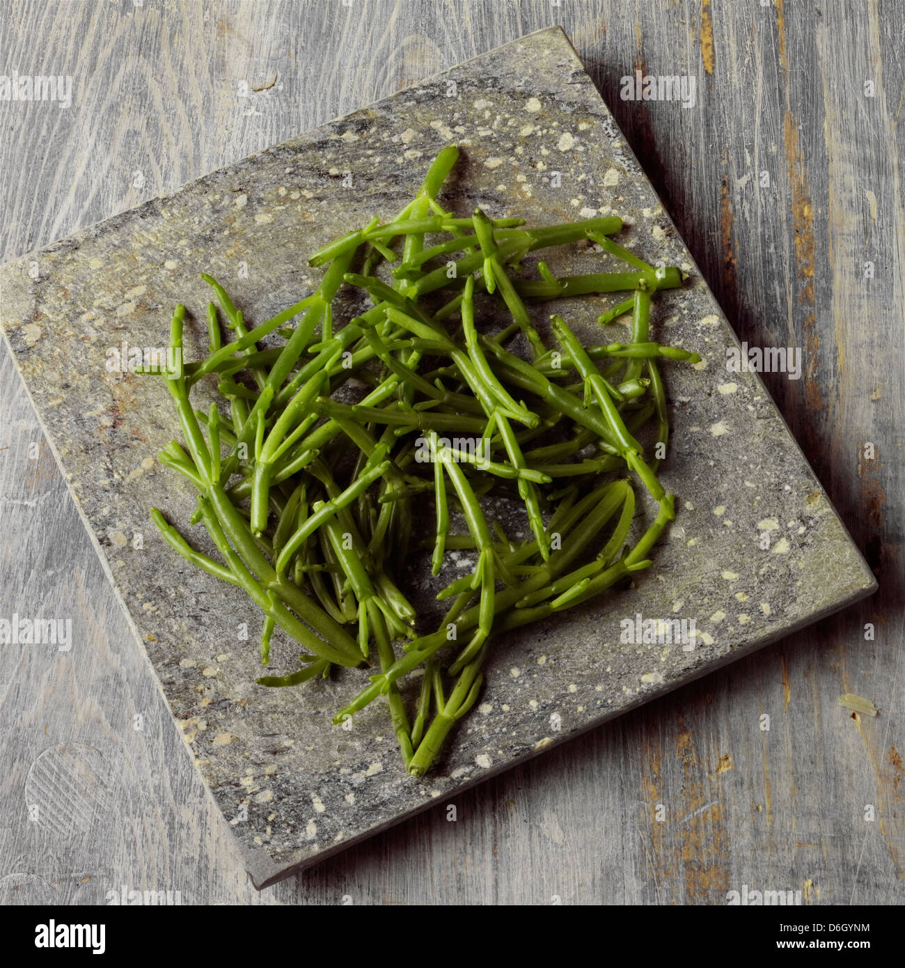 Samphire on a stone surface Stock Photo