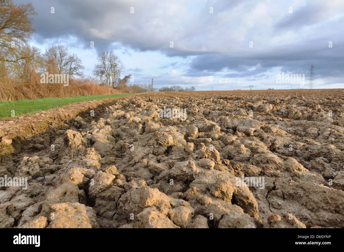 field of land under a sky full of dark clouds Stock Photo