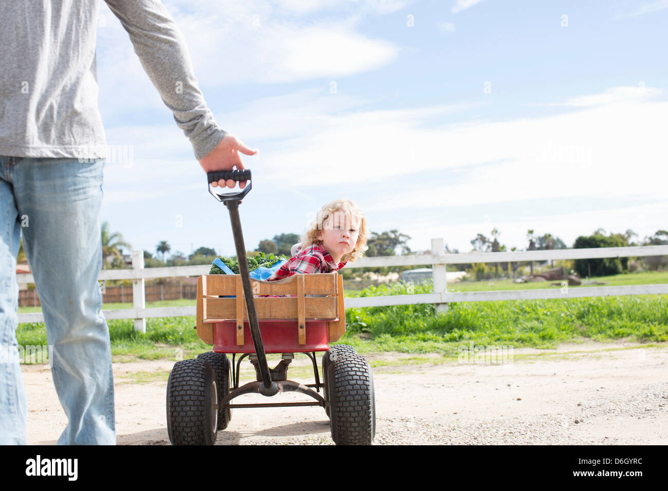 Father pulling son in wagon Stock Photo