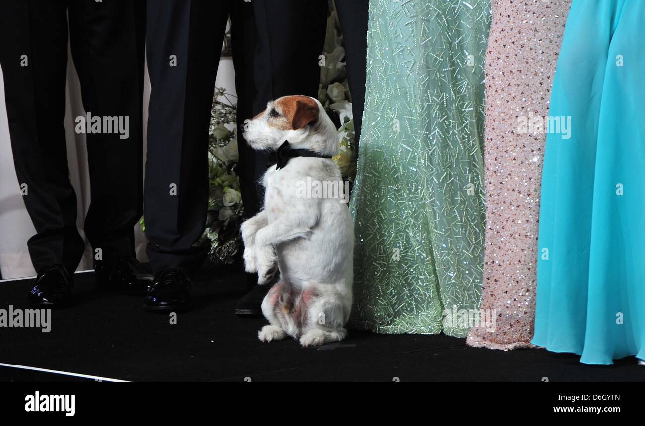 Uggie At The Oscars