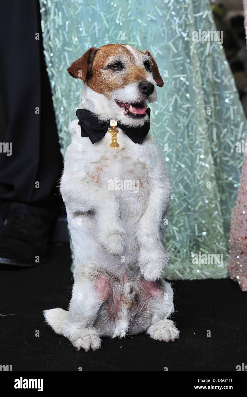 Uggie At The Oscars
