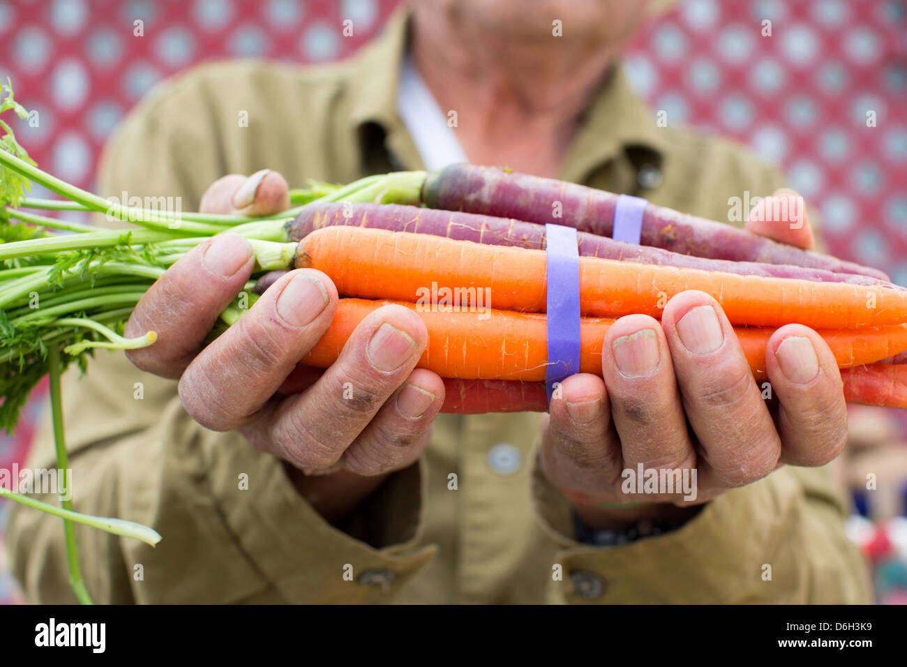 Man holding carrots outdoors Stock Photo