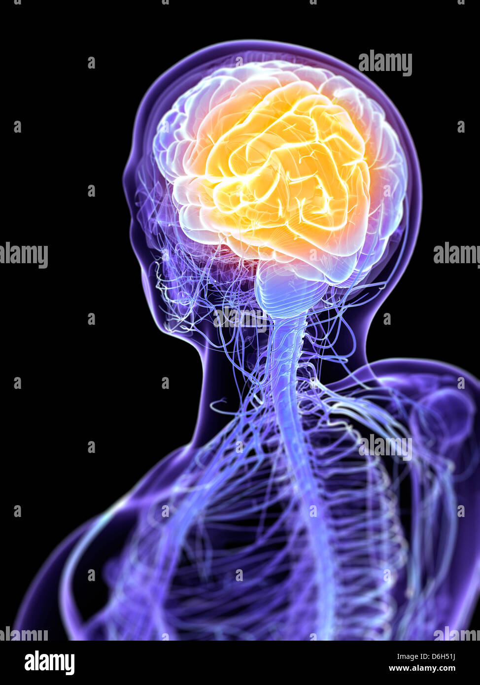 Headache, conceptual artwork Stock Photo