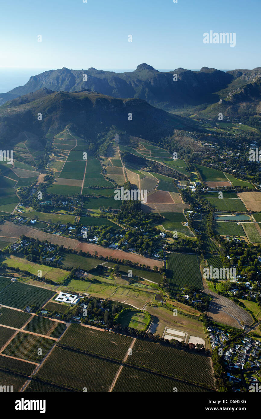 Vineyards, Constantia, Cape Town, South Africa - aerial Stock Photo