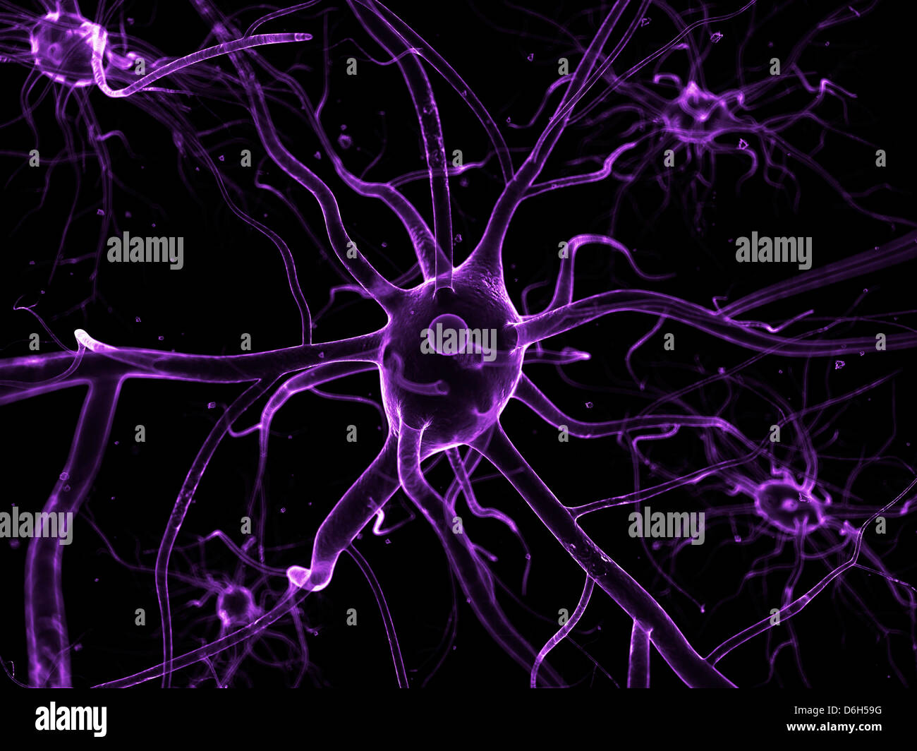 Nerve cells, artwork Stock Photo - Alamy