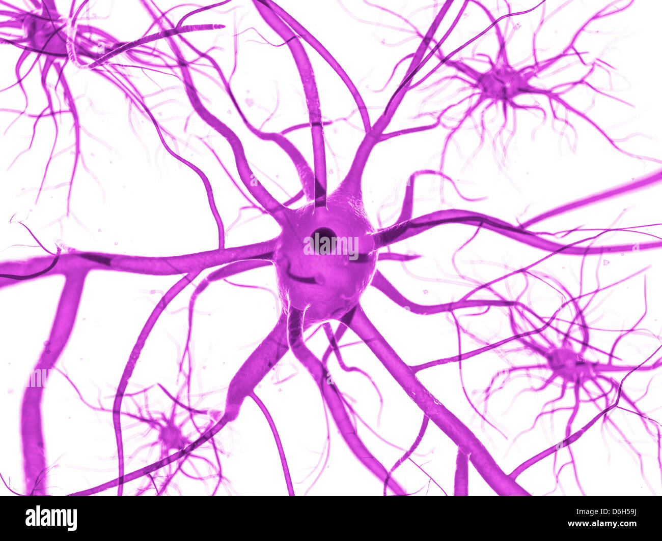 Nerve Cells Artwork Stock Photo Alamy Nerve Cells Artwork Stock Photo Alamy