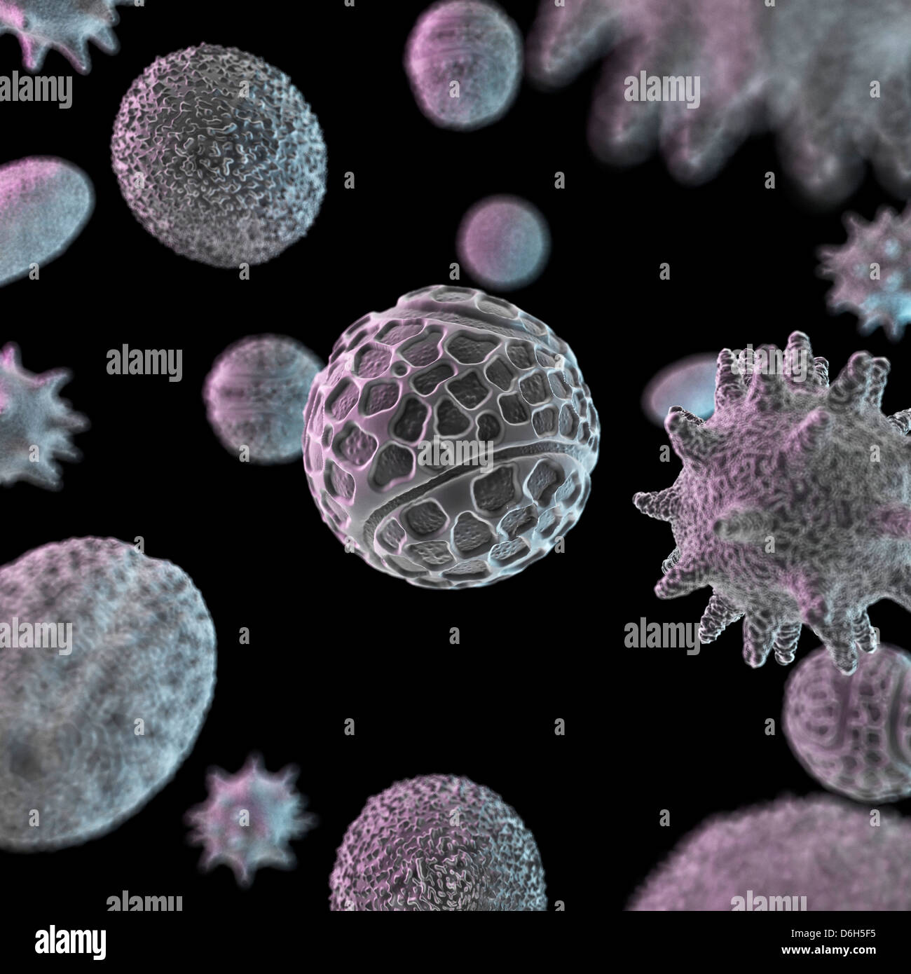 Pollen grains, artwork Stock Photo - Alamy