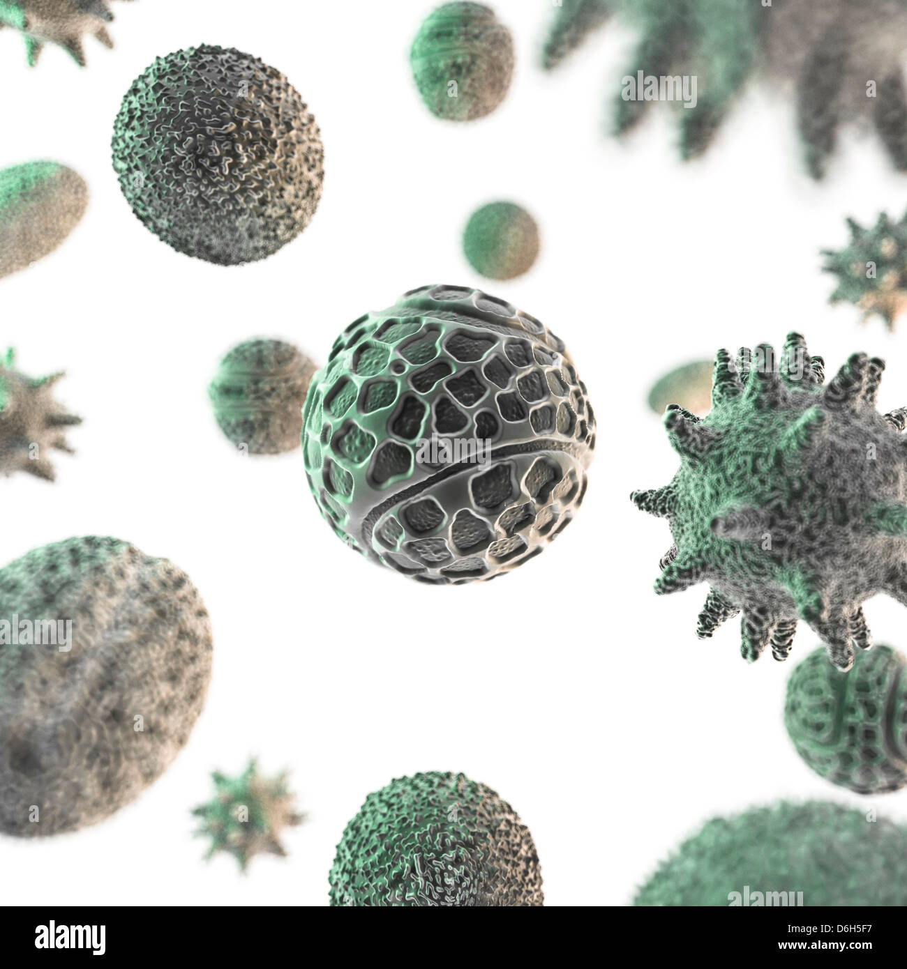 Pollen grains, artwork Stock Photo - Alamy