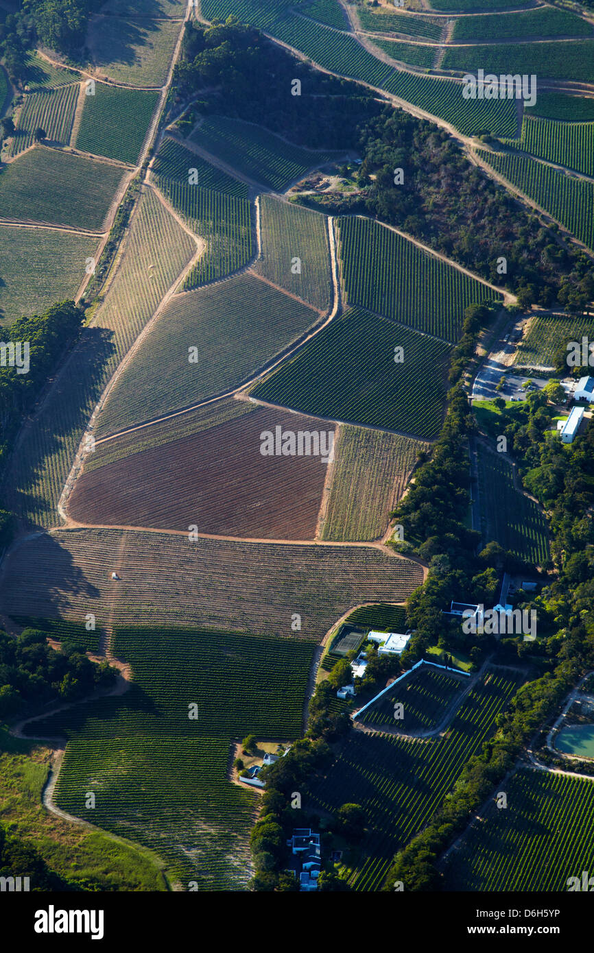 Vineyards, Constantia, Cape Town, South Africa - aerial Stock Photo