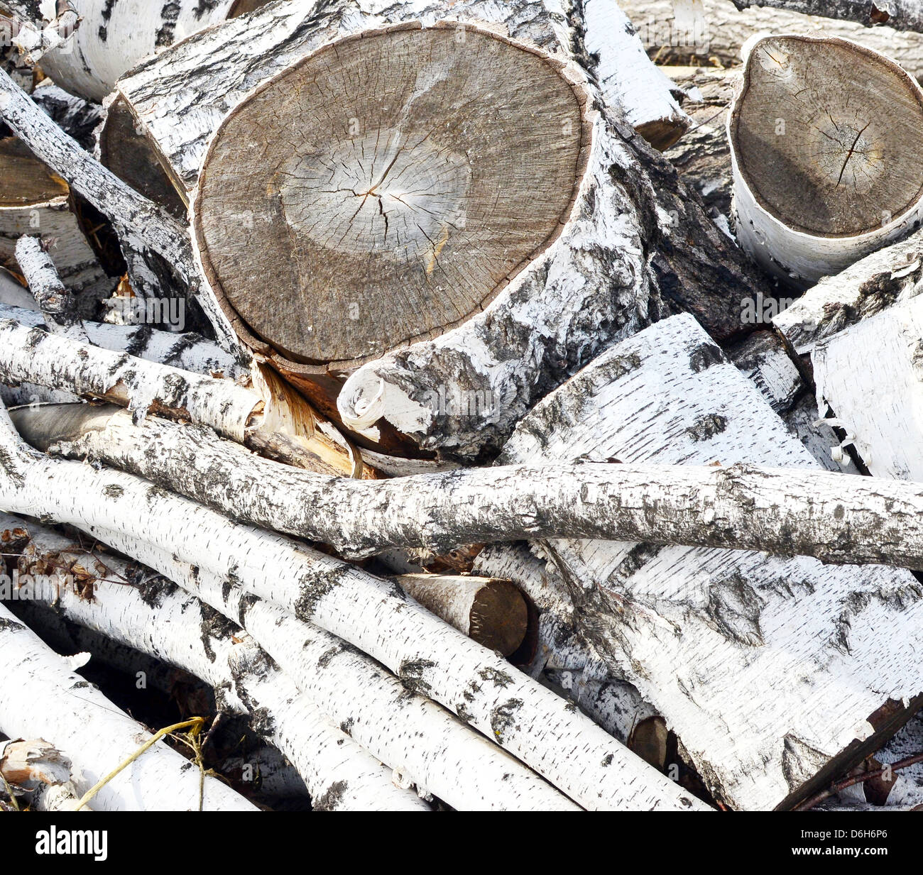 pile of birch firewood Stock Photo Alamy