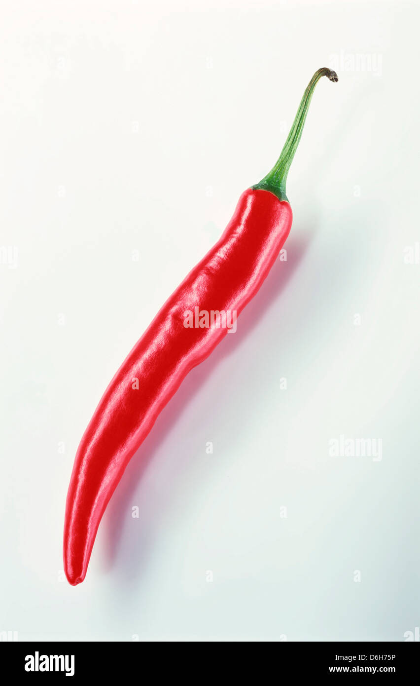 red Chilli Stock Photo