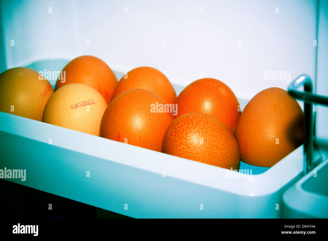 Brown eggs in refrigerator door tray Stock Photo