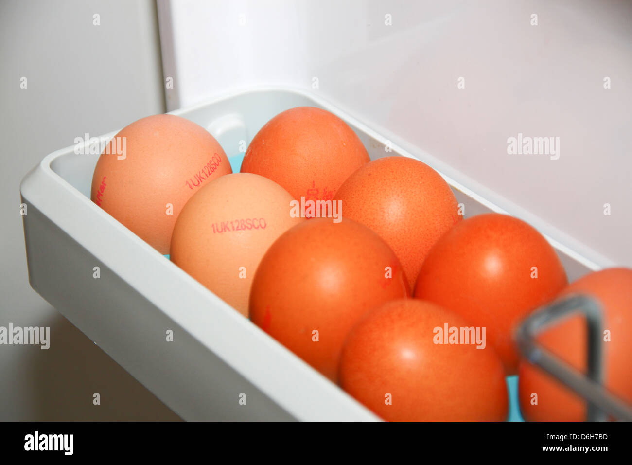 Brown eggs in refrigerator door tray Stock Photo