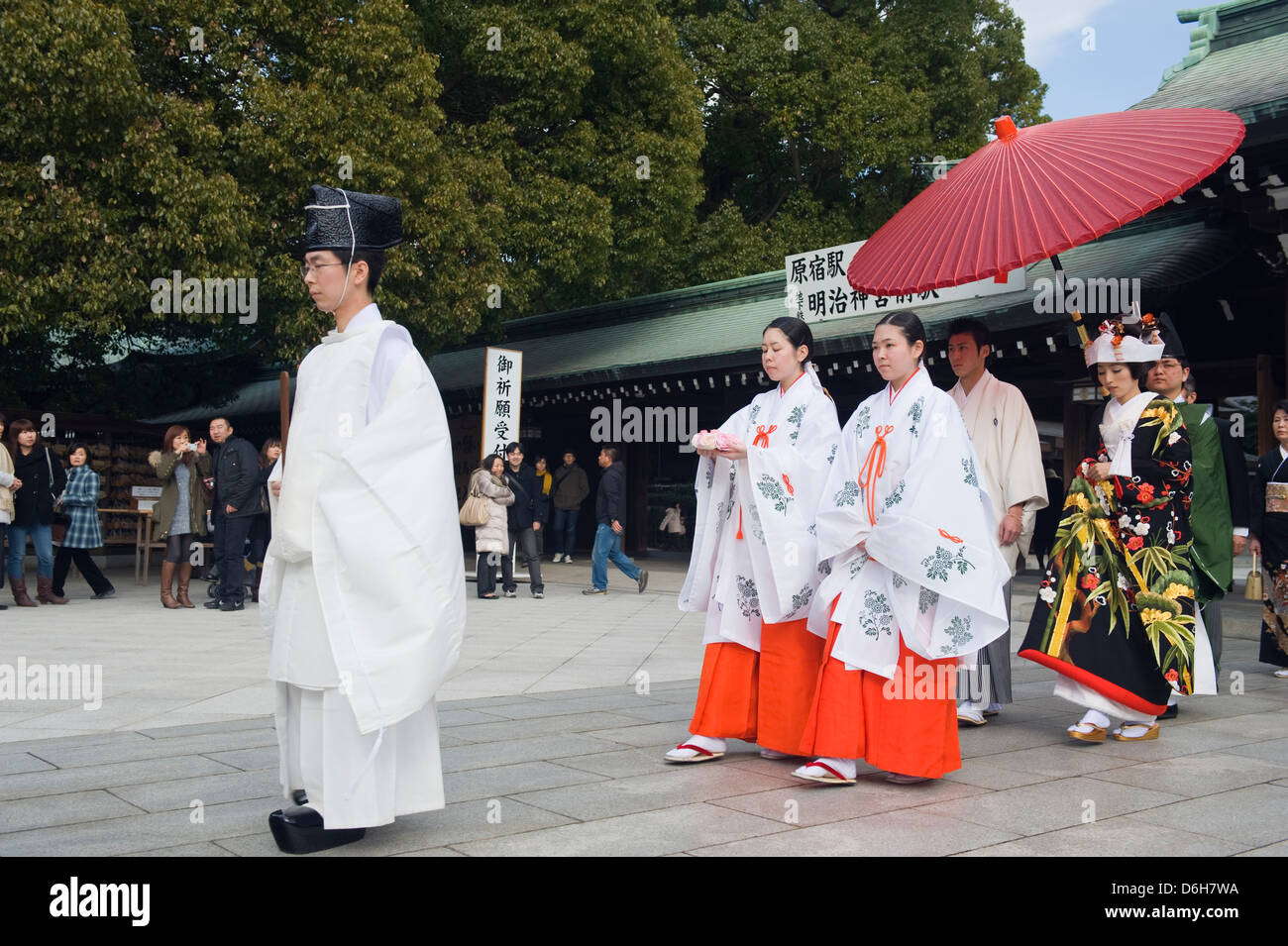 wedding ceremony, Meiji Jingu shrine, Tokyo, Japan, Asia Stock Photo