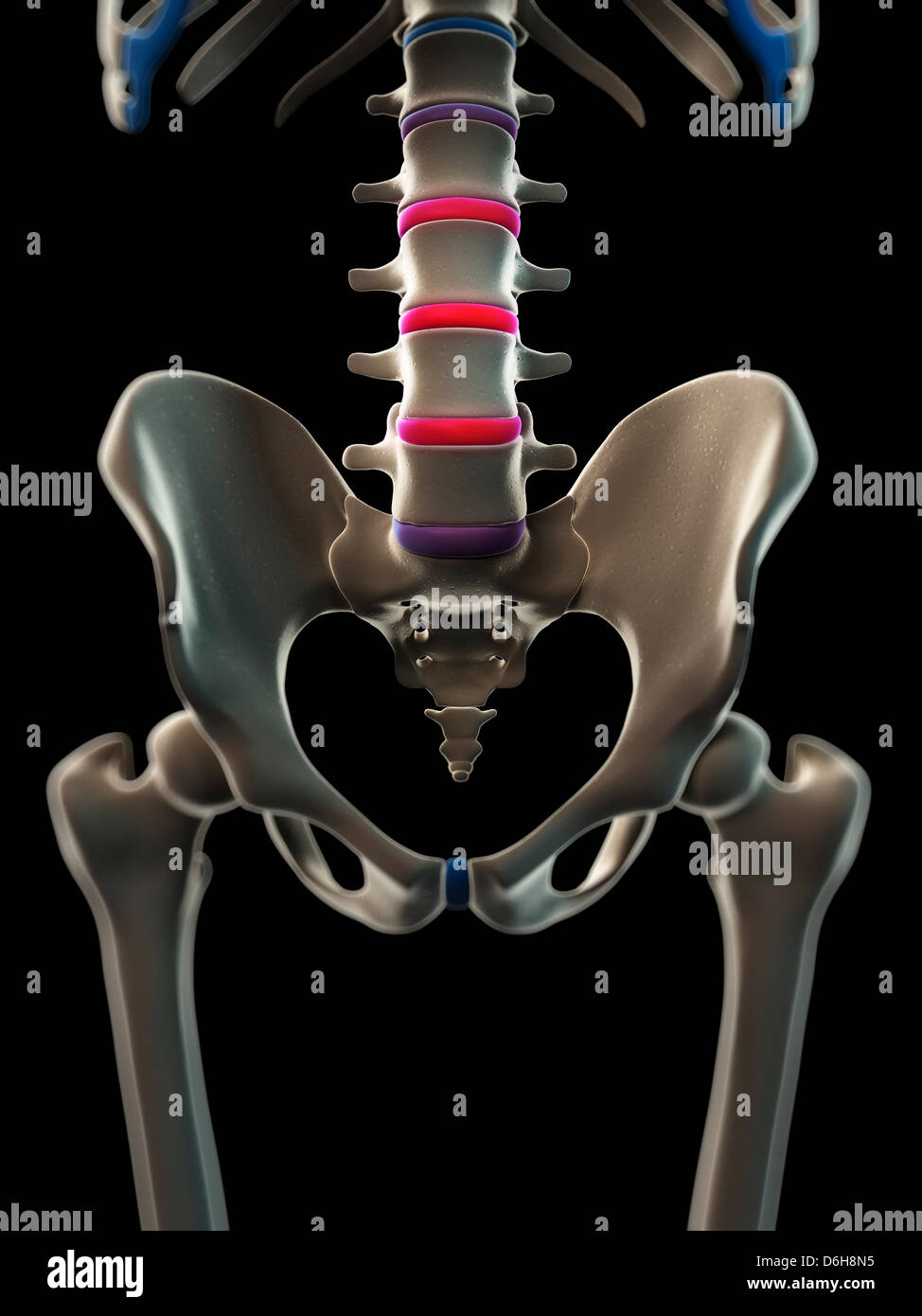 Back pain, conceptual artwork Stock Photo