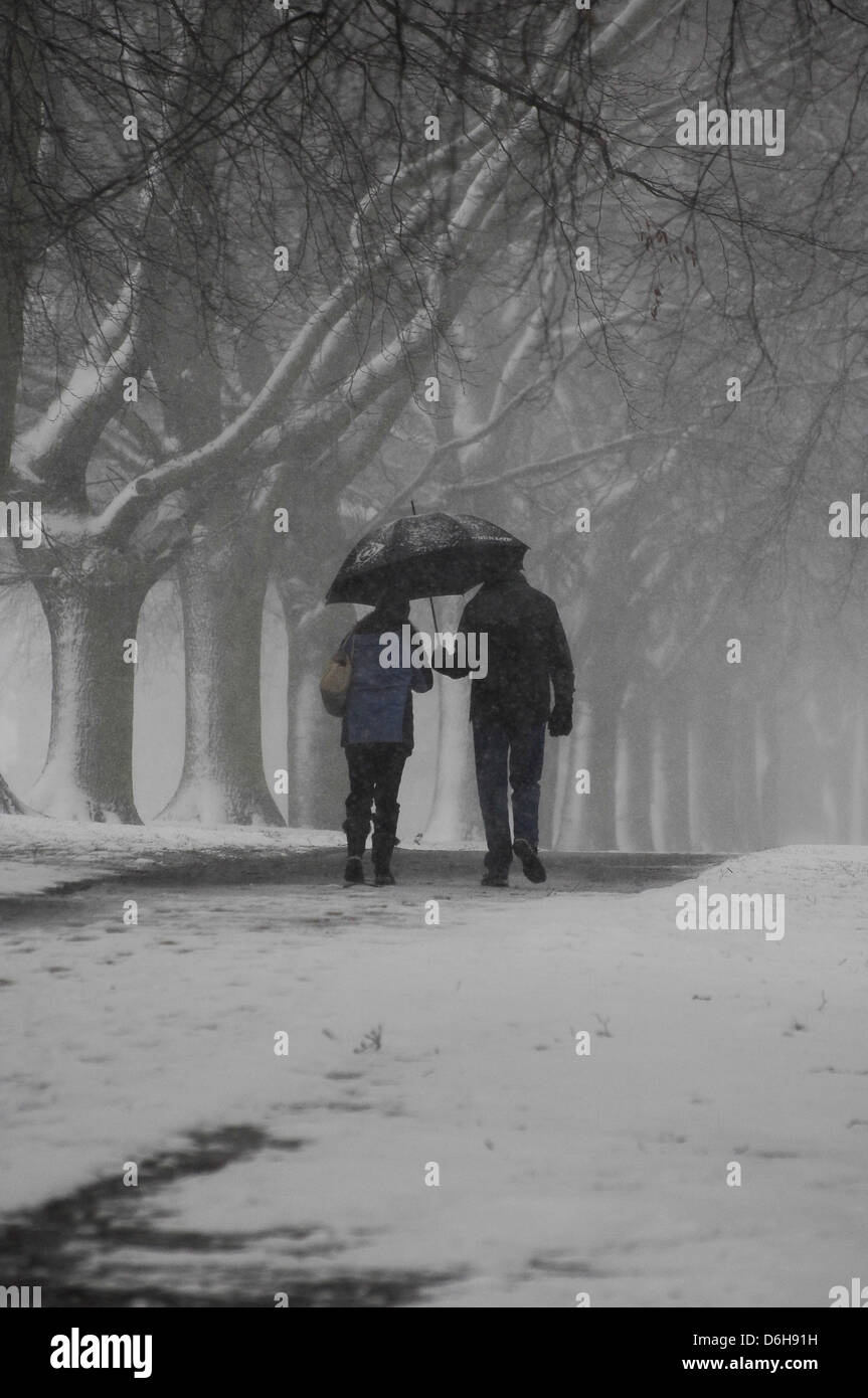 A couple walking in a snowy park Stock Photo - Alamy