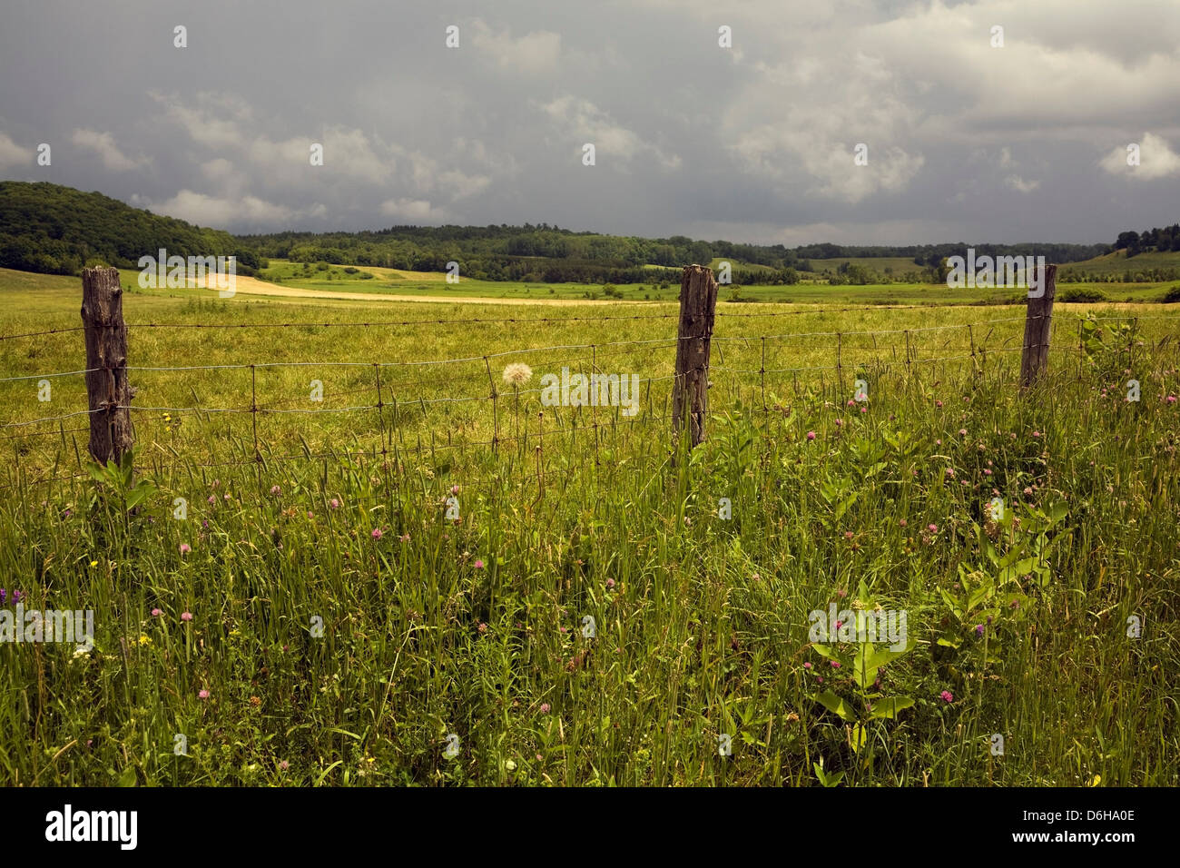 Wooden fence posts in rural landscape Stock Photo - Alamy