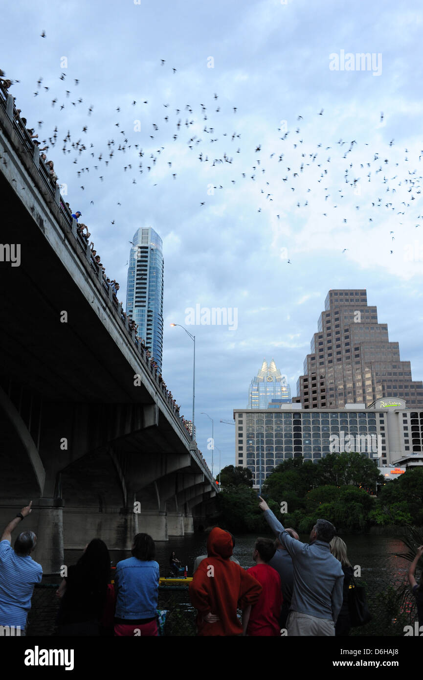 Austin bridge bats hires stock photography and images Alamy