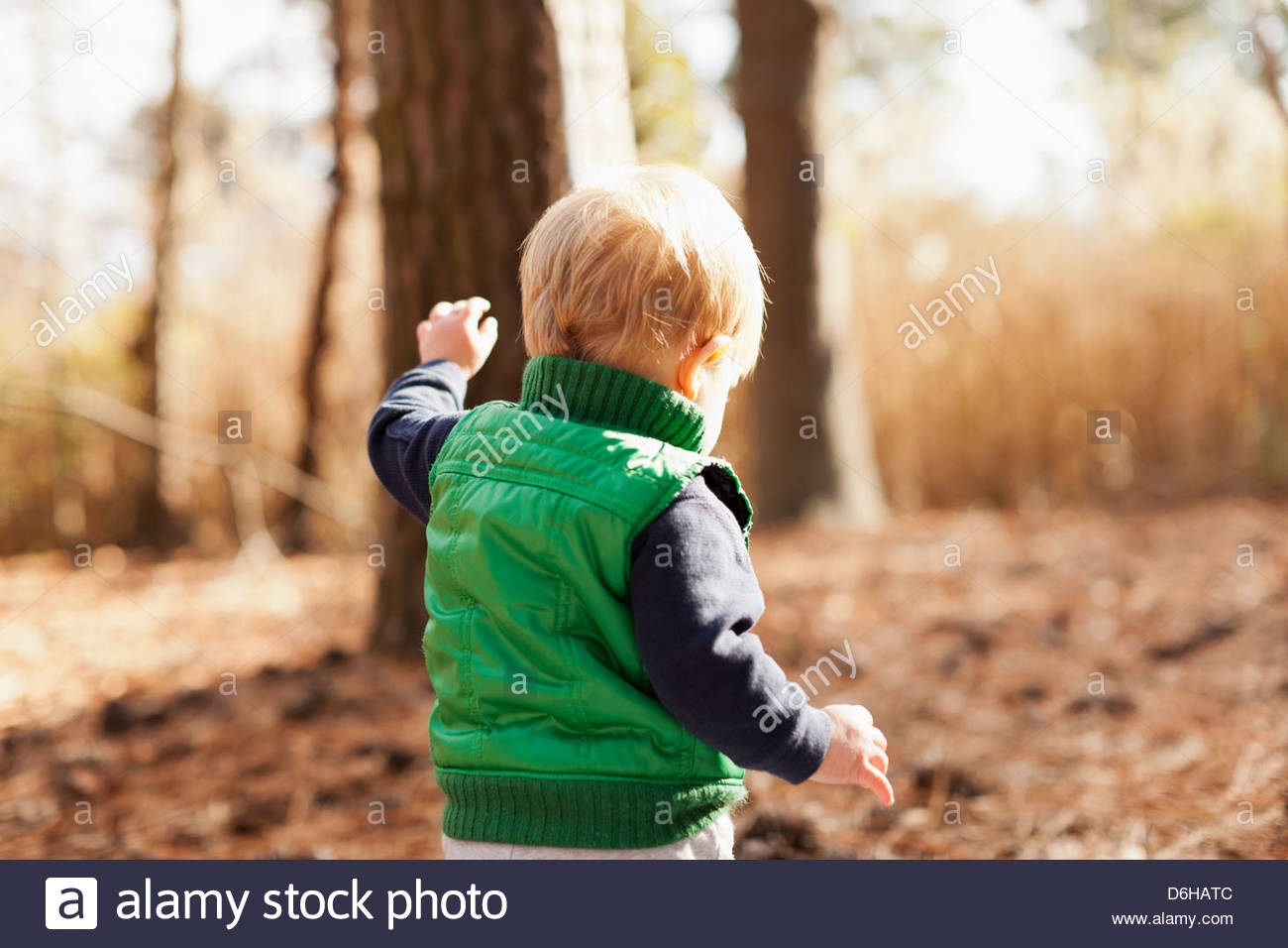К чему снятся дети на улице. Мальчик в лесу. Ребенок потерялся. Трехлетний мальчик. Ребенок заблудился.