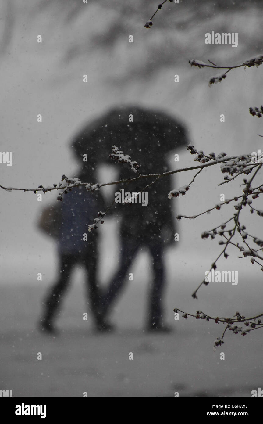 An anonymous  couple walking in a snowy park Stock Photo