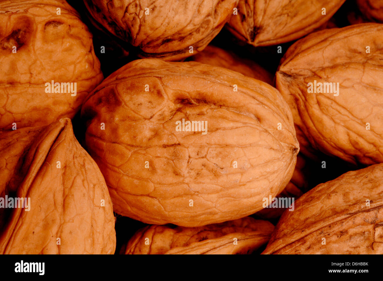 Walnuts in their shells Stock Photo Alamy