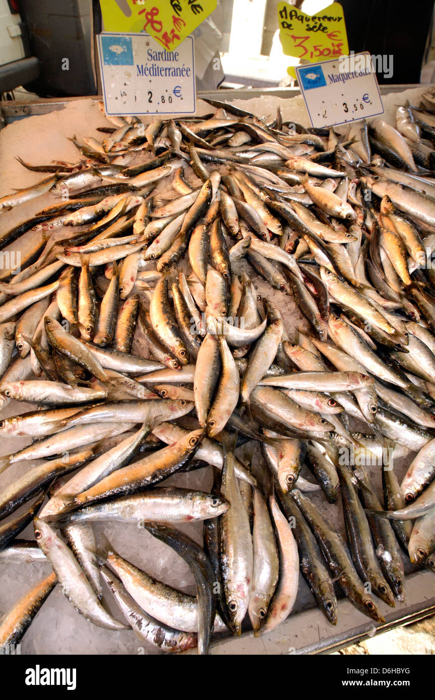 Sardines on sale at food market Stock Photo Alamy