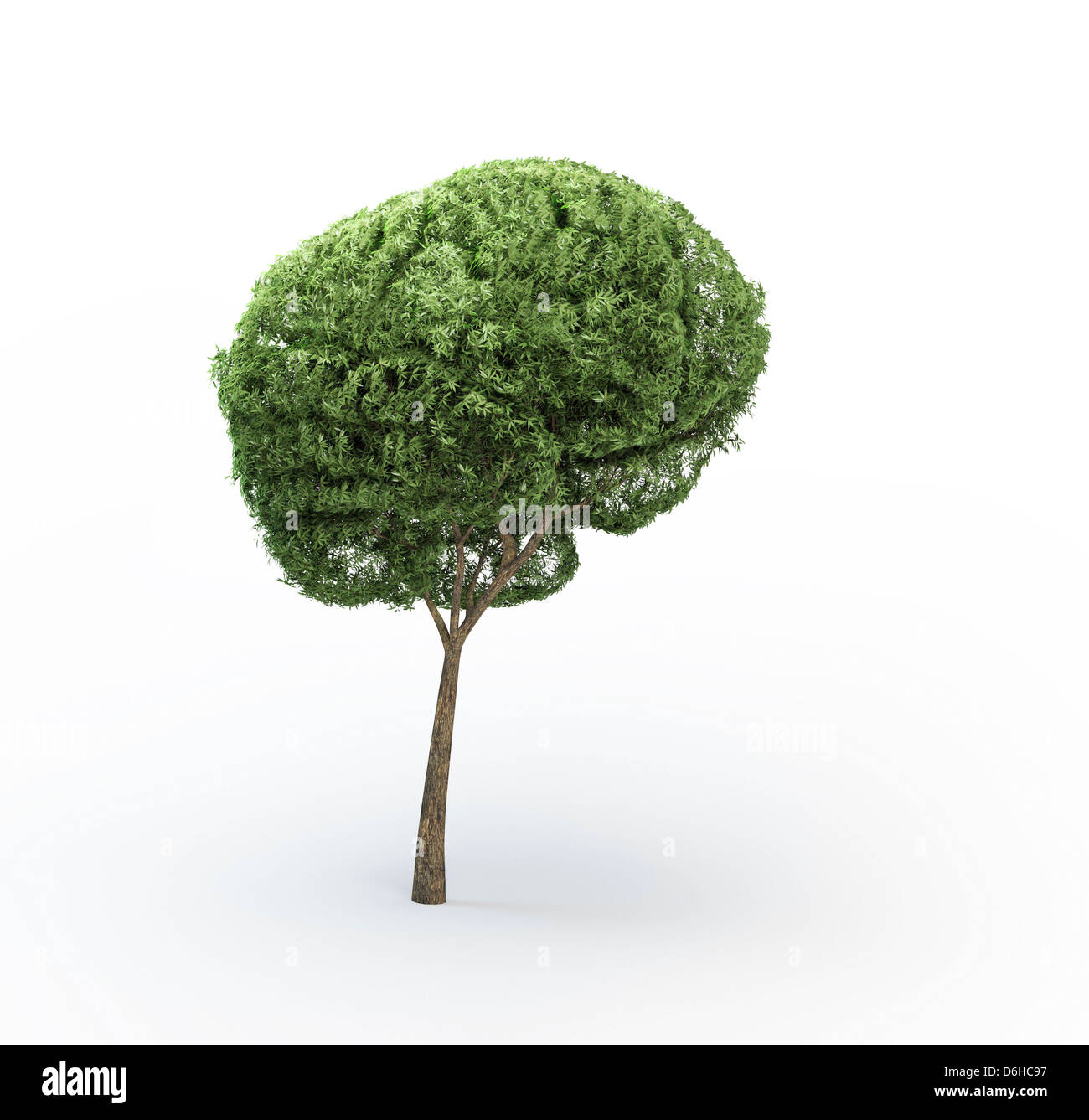 Brain-shaped tree, artwork Stock Photo