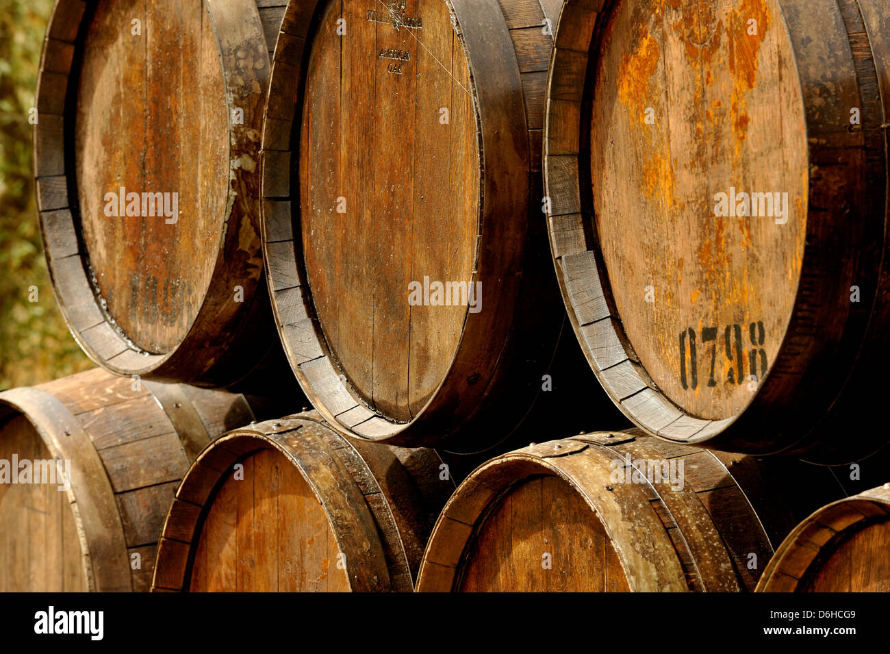 Wine barrels italy hires stock photography and images Alamy