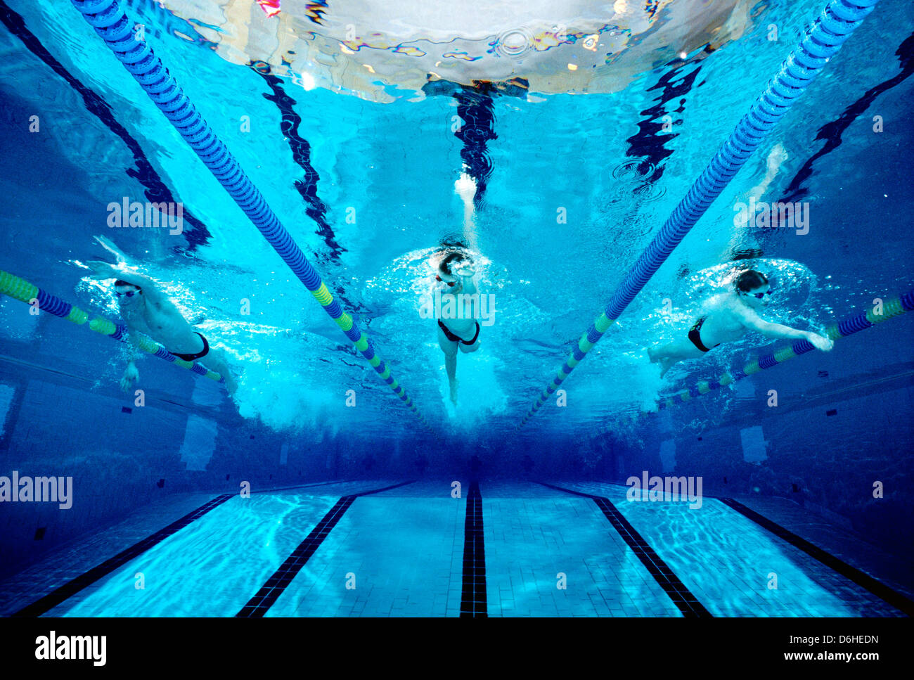 Underwater photograph of a boys high school swim team practicing in an Olympic size swimming pool. Stock Photo