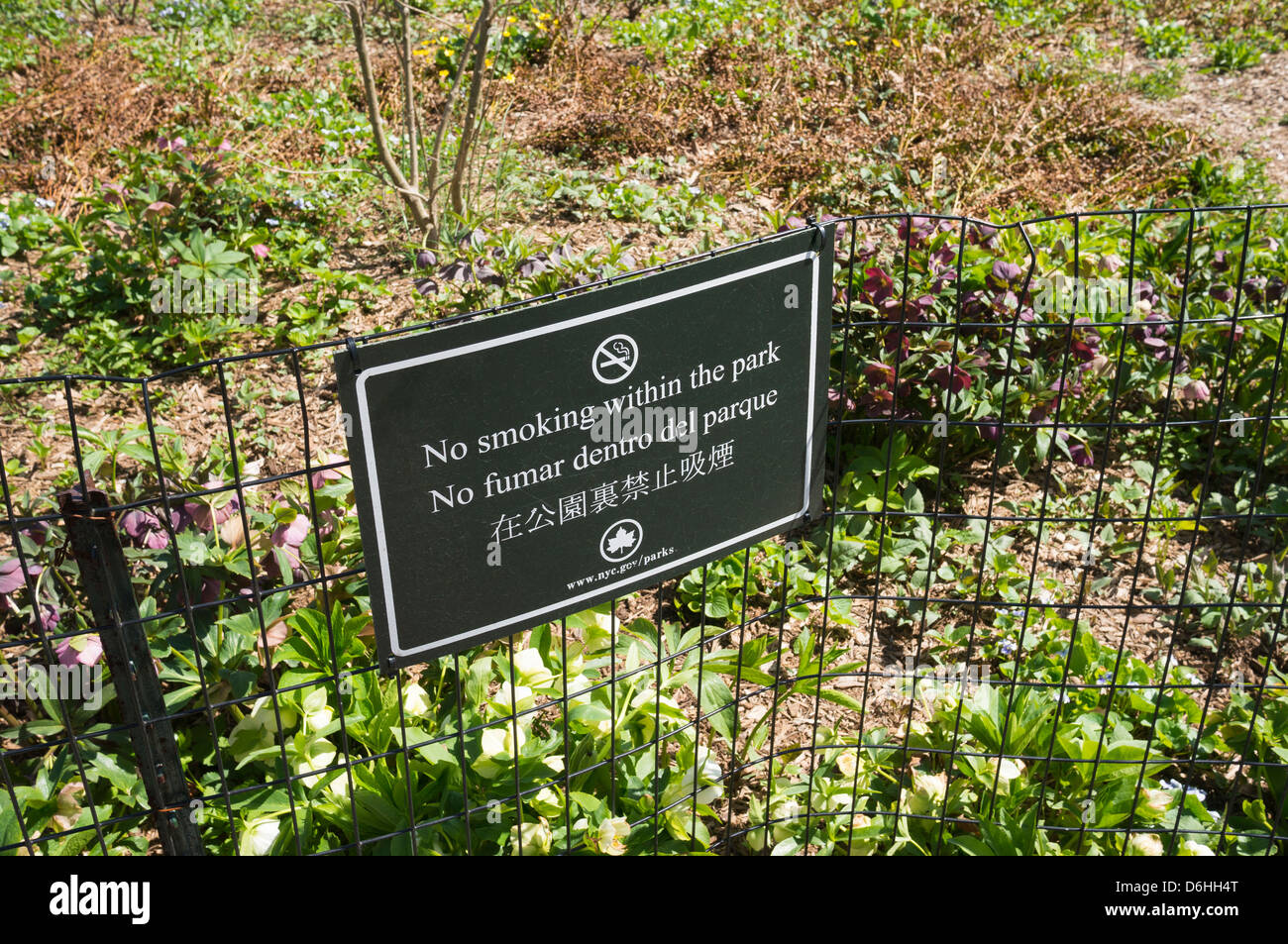 No smoking sign in Central Park Stock Photo Alamy
