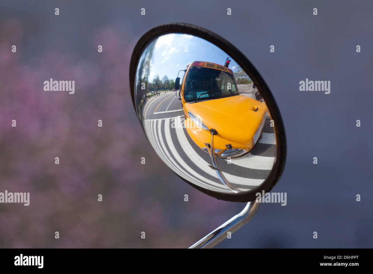 convex mirror reflection