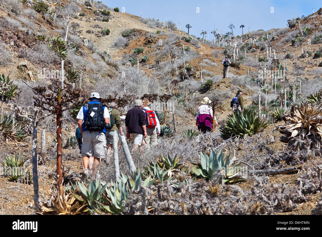 Ecotourists on a nature walk on Isla San Benito Oeste, Baja California Norte, Mexico Stock Photo