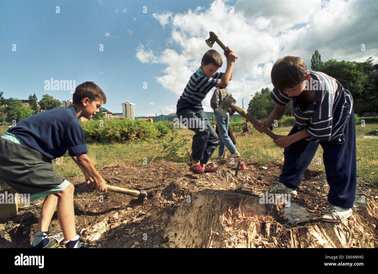 Kids are chipping firewood in the city center, Sarajevo, Bosnia and Herzegovina Stock Photo