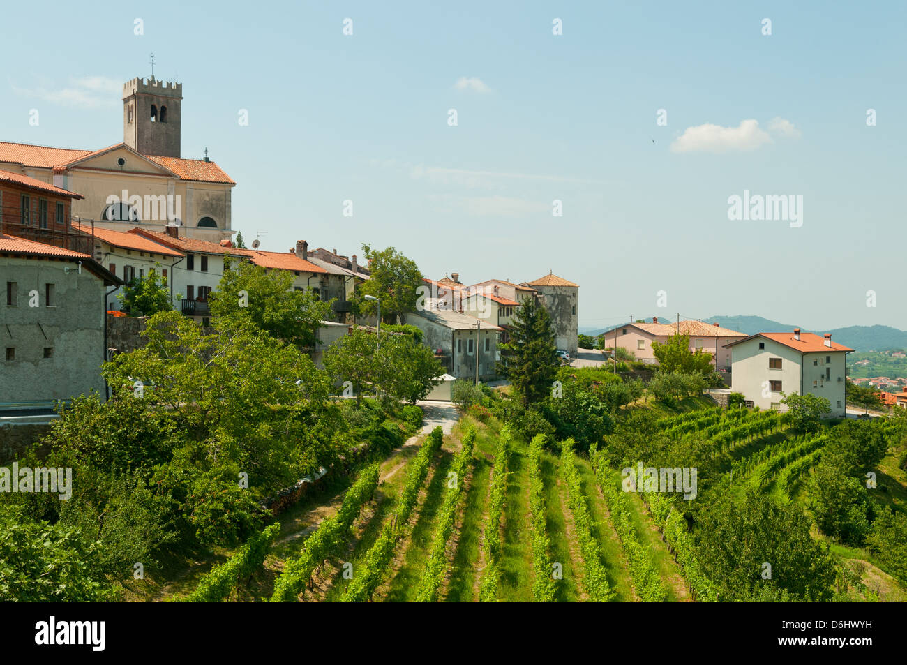 Grape Growing around Smartno, Brda, Slovenia Stock Photo