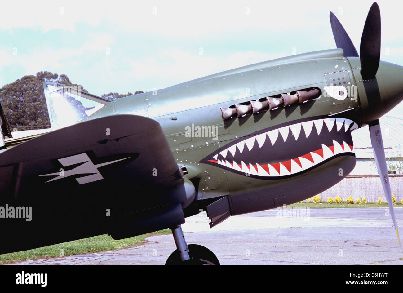 ground view of curtis P40N  usaaf  fighter jet with flying tiger nose art at a Sonoma County airport  bob kreisel 2013 Stock Photo