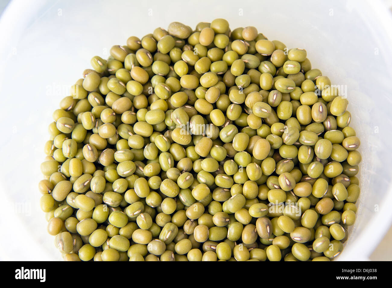 Green Whole Mung Beans in Plastic Container Stock Photo
