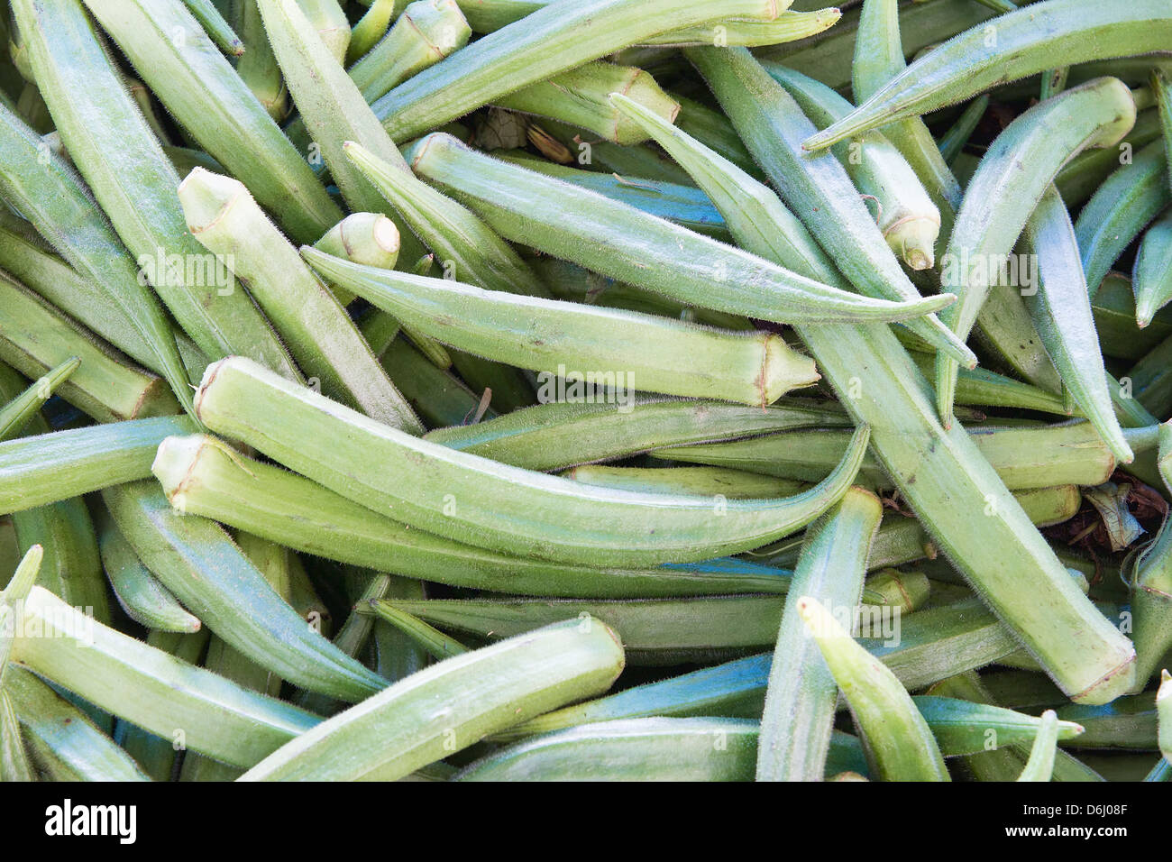 Okra at Southeast Asian Market Closeup Background Stock Photo