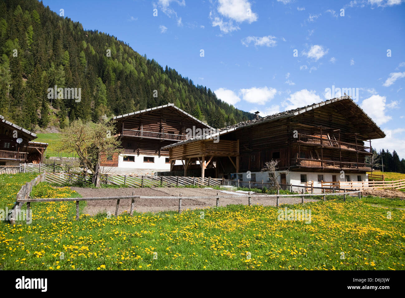 Mountain farms near Sankt Nikolaus (S. Nicolo) in the Ulten valley (Ultental). Eastern Alps, South Tyrol, Italy. Stock Photo