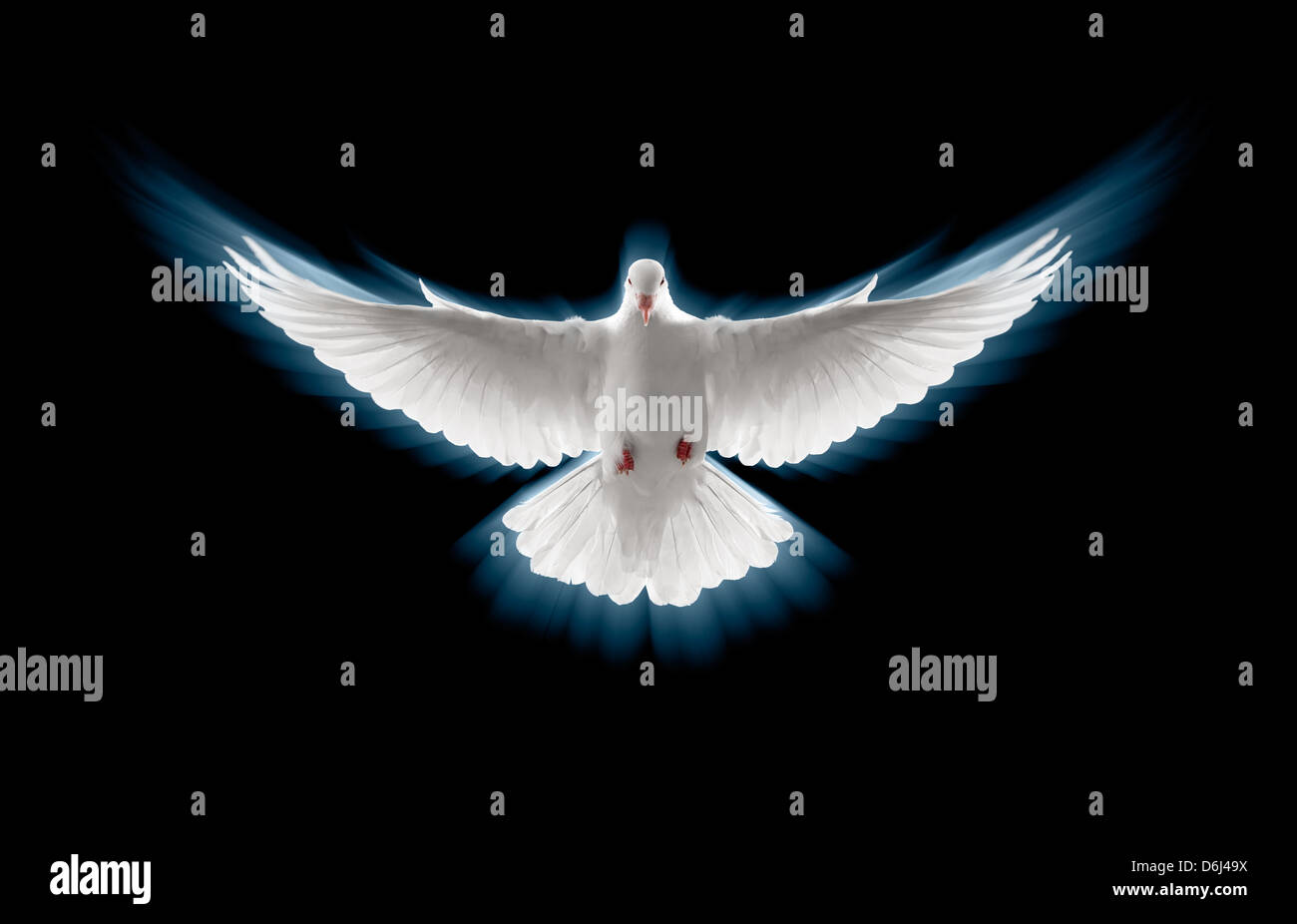 front profile of a flying white dove, zoomed Stock Photo