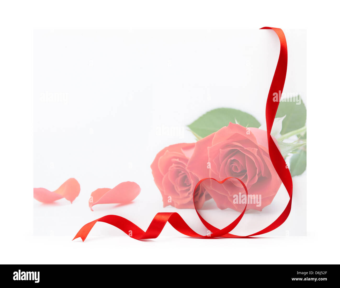 red rose valentine card with heart shape ribbon Stock Photo