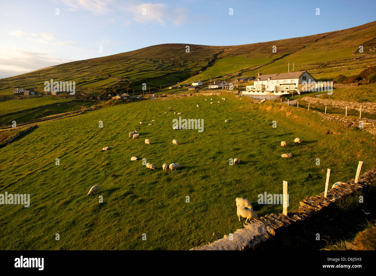 Along the Dingle Peninsula road, County Kerry, Munster, Republic of Ireland, Europe Stock Photo