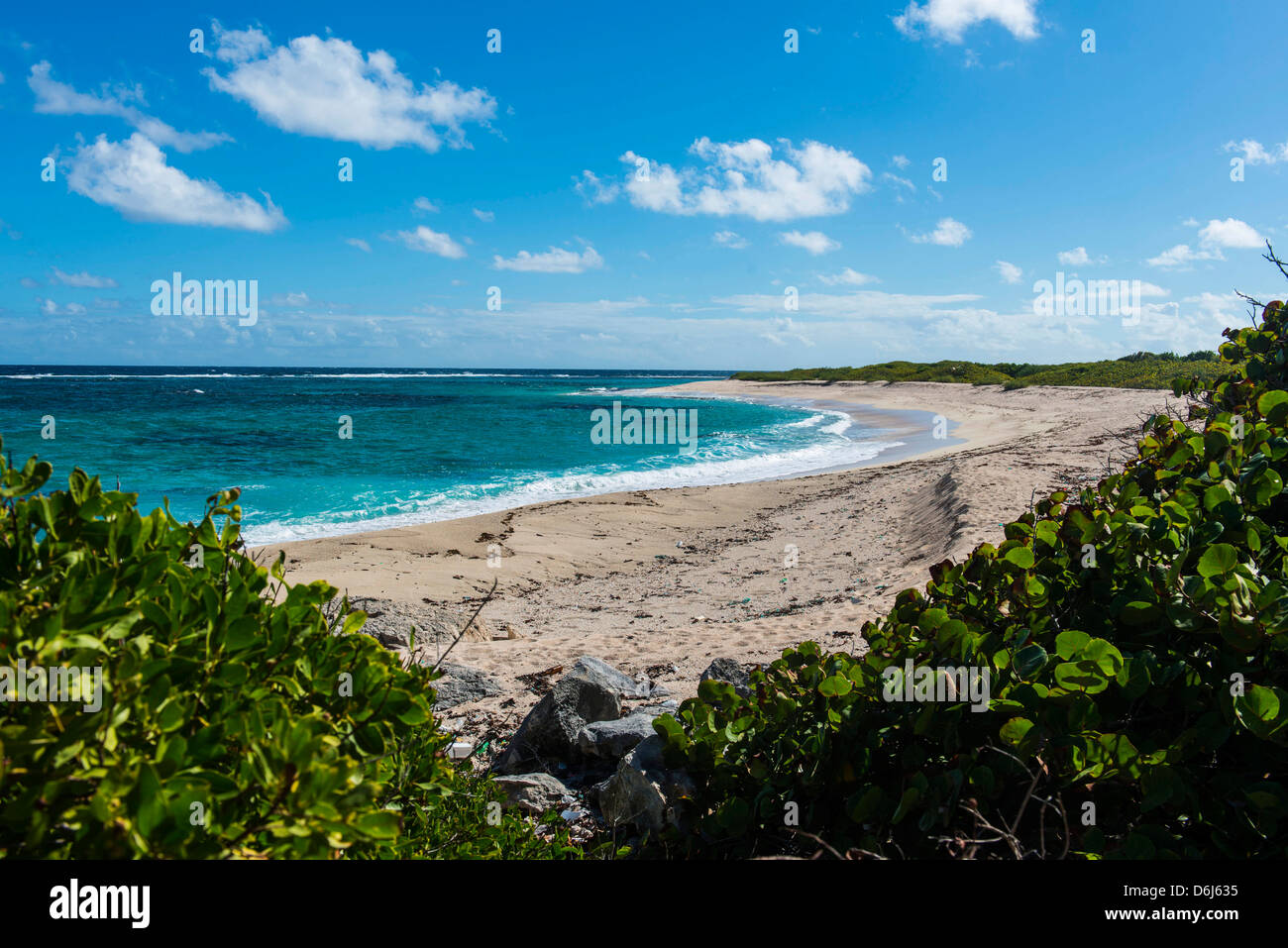 Remote white sand beach in Barbuda, Antigua and Barbuda, West Indies, Caribbean, Central America Stock Photo