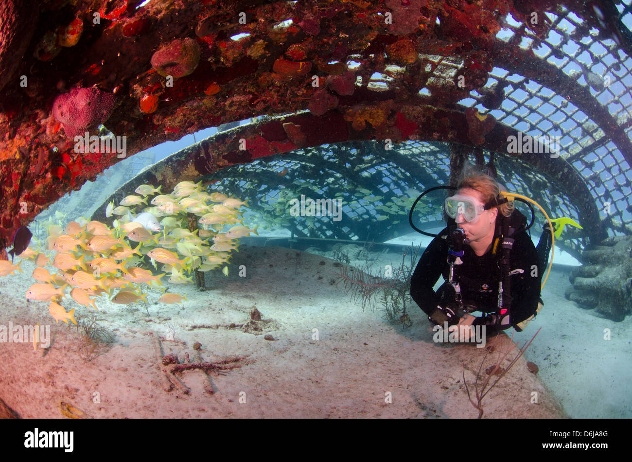 Diver inside the Thunderdome in Turks and Caicos, West Indies, Caribbean, Central America Stock Photo