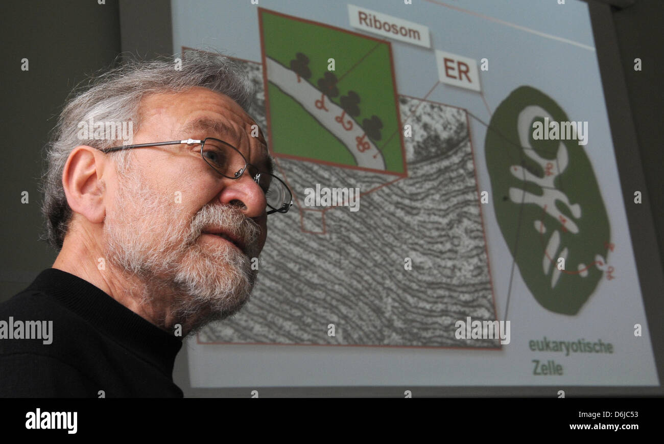 Ludwig darmstaedter hires stock photography and images Alamy