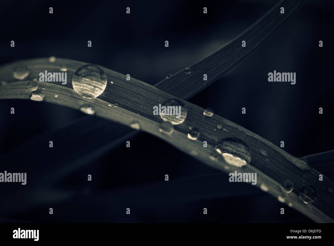 Pure water shot hi-res stock photography and images - Alamy